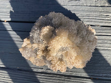 Load image into Gallery viewer, Aragonite from Morocco