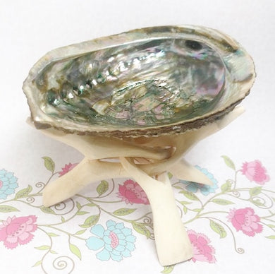 Abalone Shell Meaning  - Rosie's Market metaphysical, psychic abilities, intuition, stress relief