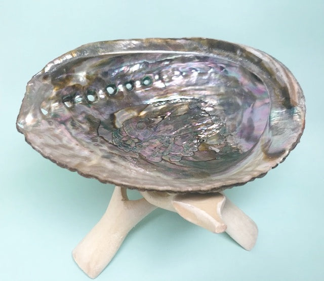 What is Abalone used for - Rosie's Market
