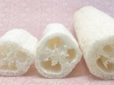 Natural Loofah Sponge - 2",  4" or 6" - Rosie's Market
