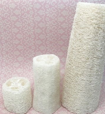 Natural Loofah Sponge - 2",  4" or 6" - Rosie's Market