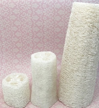 Load image into Gallery viewer, Natural Loofah Sponge - 2&quot;,  4&quot; or 6&quot; - Rosie&#39;s Market